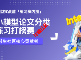 【微调打榜内测】【书生】端侧小模型论文分类微调练习打榜赛