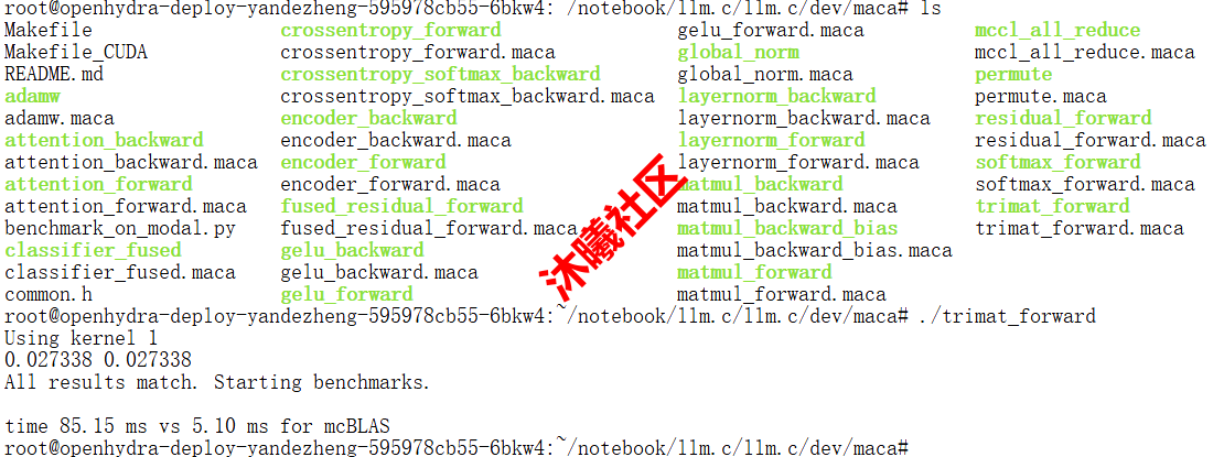 maca_kernel_0.png